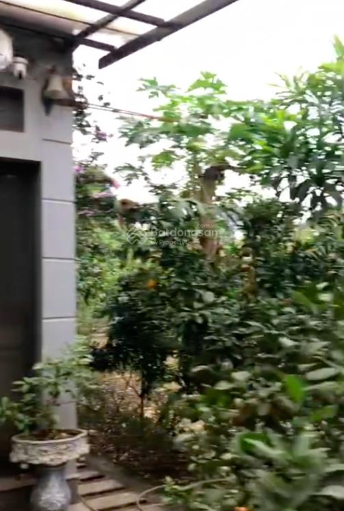 Bán 3160m2 đất, nhà xây mái thái, đủ tiện nghi, chương mỹ, hà nội, giá 6,5 tỷ.  0867 313 ***