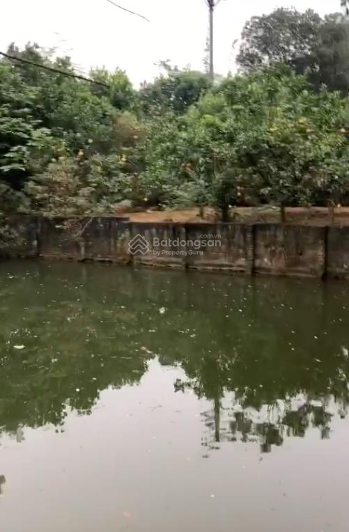 Bán 3160m2 đất, nhà xây mái thái, đủ tiện nghi, chương mỹ, hà nội, giá 6,5 tỷ.  0867 313 ***