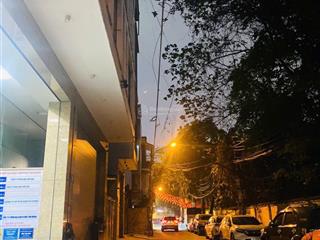 Biệt thự đường nguyễn trãi 6 tầng thang máy, ô tô đỗ cửa, nội thất nhập khẩu 99m2, giá 23.5 tỷ