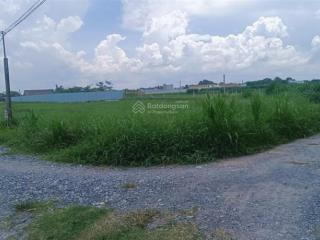 Thổ cư chính chủ 250m2, 1/ basa gò mối 400m, 1/bầu sen, gần kdc viet hóa