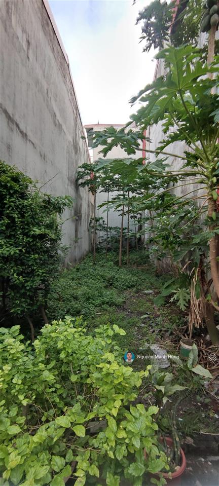 Cần tiền bán gấp 76 m2 đất khu phương nhị, liên ninh, thanh trì, giá nhỉnh 82tr/m2