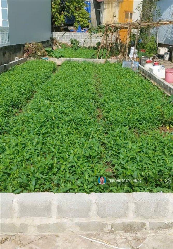 Bán đất 70m2 liên ninh, thanh trì, hà nội. vị trí đẹp, ngõ thông ô tô, giá đầu tư (nhỉnh 93tr/m2)