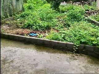 Đất đông mỹ đường rộng ô tô chạy vào đất giá nhỉnh 37tr/m2.