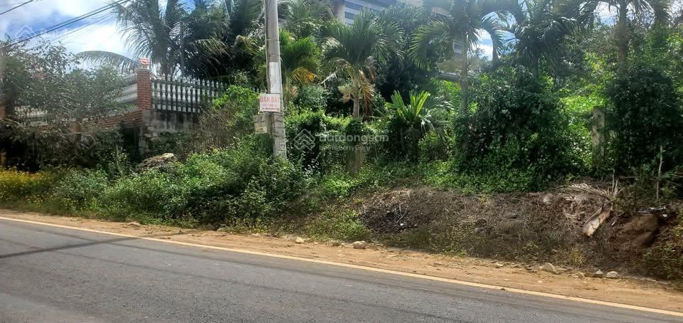 Chính chủ rẻ hơn thị trường lô đất mặt tiền đường nhựa gần chợ kado