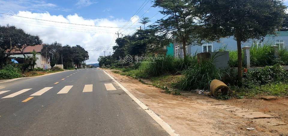 Chính chủ rẻ hơn thị trường lô đất mặt tiền đường nhựa gần chợ kado