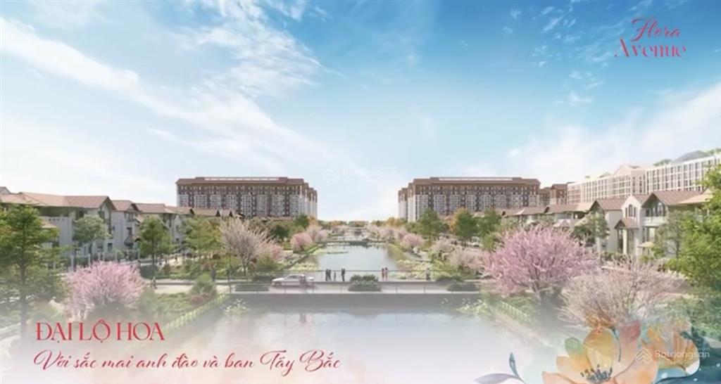 Vốn chỉ cần hơn tỷ sở hữu căn tại sun  flora avenue .cơ hội lớn cho nhà đầu tư sinh lời nhanh