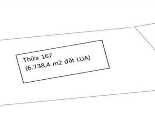 Bán đất tại tp ngã bảy diện tích 7.630,2 m2 đất lúa (lua)tài sản tọa lạc tại đường tỉnh lộ 927c