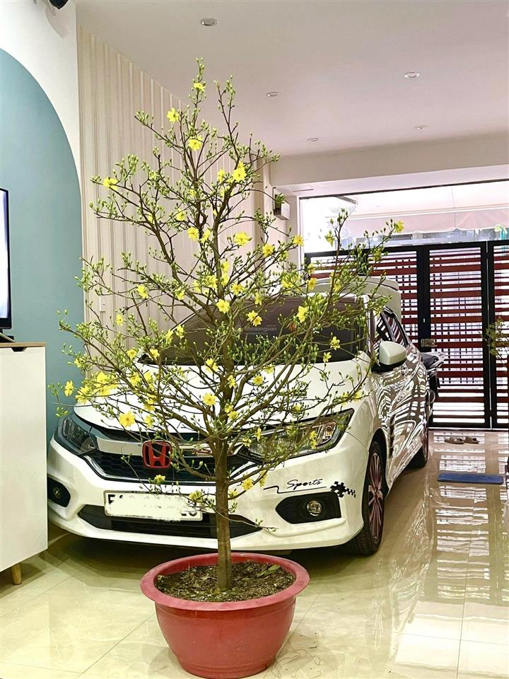 Căn nhà rất đẹp nhỉnh 7 đồng hơn ngay tại phường 16 4 tầng btct xe hơi vào nhà !