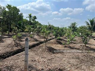Bán đất vườn 492m2 tặng 20 cây bưởi đường rộng thông thoáng ngay phường tân an, thủ dầu một