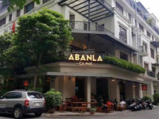 Siêu phẩm! cho thuê nhà lô góc mặt phố nguyễn khuyến  văn quán, dt 250m, mt 20m giá chỉ hơn 40tr