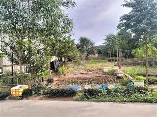 Bán gấp lô đất tân hiệp tân uyên chủ ngộp 1,2t/150m2, đường 5m ô tô thoải mái, đầu tư sinh lời tốt