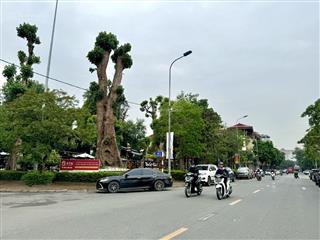 Siêu hiếm,đất nguyễn mậu tài,trâu quỳ khách xây biệt phủ,phân lô,vỉa hè,ô tô tránh,cạnh ubnd quận