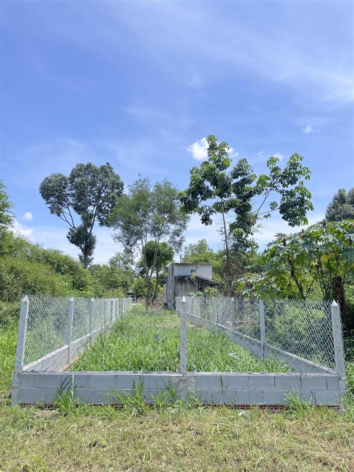 Đất đẹp xây trọ, làm xưởng xã phú hòa đông mới 5x49m, full thổ cư liền kề 2 dự án lớn