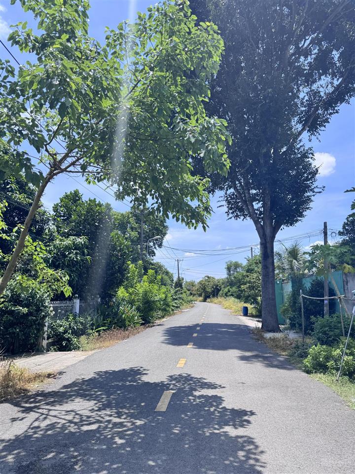 Đất đẹp xây trọ, làm xưởng xã phú hòa đông mới 5x49m, full thổ cư liền kề 2 dự án lớn