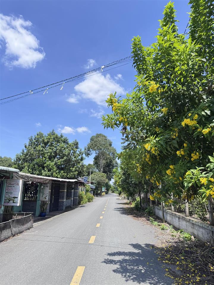 Đất đẹp xây trọ, làm xưởng xã phú hòa đông mới 5x49m, full thổ cư liền kề 2 dự án lớn