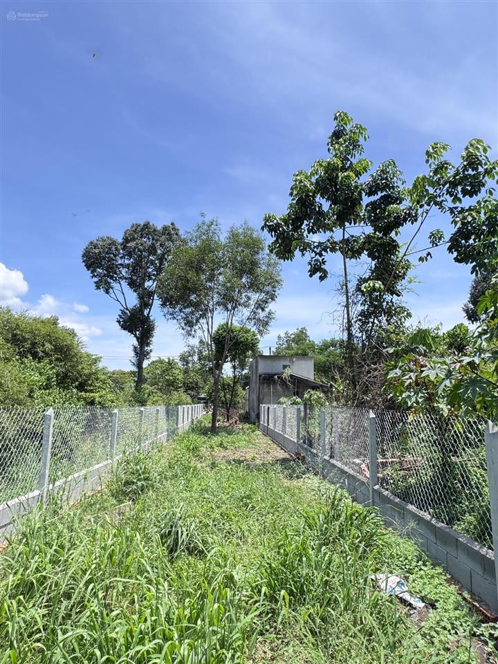 Đất đẹp xây trọ, làm xưởng xã phú hòa đông mới 5x49m, full thổ cư liền kề 2 dự án lớn