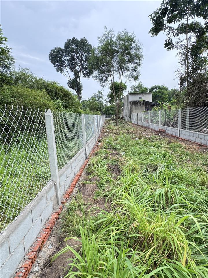 Bán nhanh đất 5x49m nở hậu thổ cư 100% tỉnh lộ 15 thích hợp xây trọ, xưởng, làm nhà vườn, giữ tiền