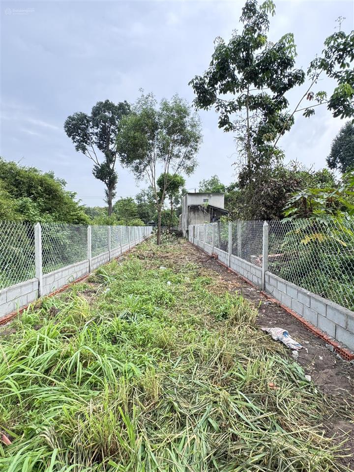 Bán nhanh đất 5x49m nở hậu thổ cư 100% tỉnh lộ 15 thích hợp xây trọ, xưởng, làm nhà vườn, giữ tiền