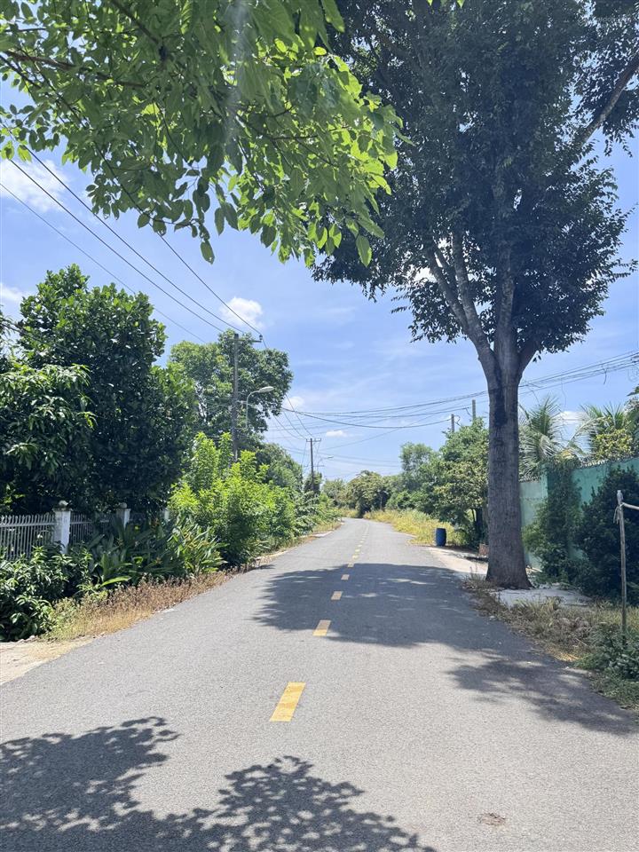 Hàng thơm xuất hiện mặt tiền 1/ tỉnh lộ 15 đất đẹp giữ tiền, xây trọ, làm xưởng, làm nhà vườn