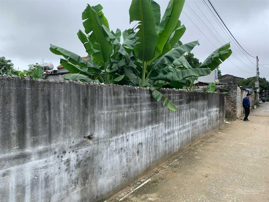 Chính chủ bán 982m2 đất ở chính chủ tại quảng cư, sầm sơn 0988 091 ***