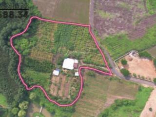 Bán nhà vườn phủ hồng phước tân, xuyên mộc vị trí đẹp mặt tiền đường nhựa bao quanh