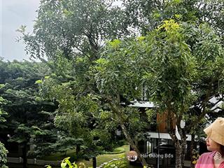 Bán nhà phố 105m2 khu khép spring valley 1c tại ecopark