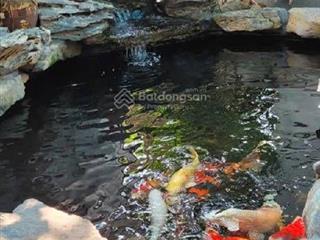 Em bán nhà geleximco lê trọng tấn dt 120m2 , 4 tầng 25 ty