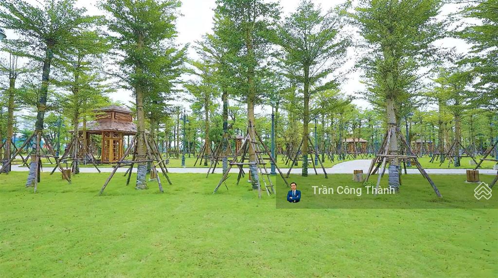 Hot! mở bán căn nhà phố 50m2 noble palace tây thăng long chỉ 11 tỷ  gđda mr thành 0973 038 ***