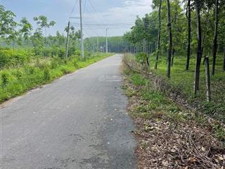 Bán đất tại trừ văn thố, giá thỏa thuận, 300m2, chơn thành, bình phước, đẹp, tiện ích