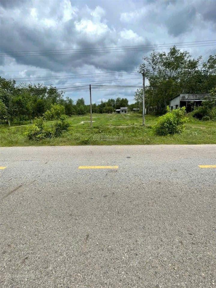 Chính chủ cần bán 700 m2 đất có sẵn 100 m2 thổ cư tại tp hồ chí minh