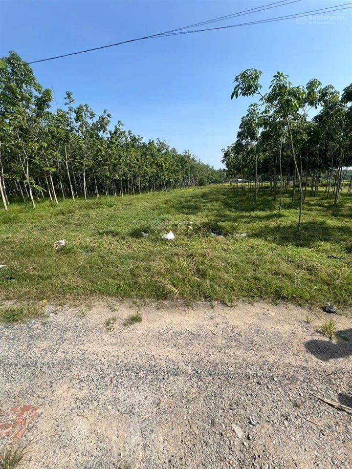 Chính chủ cần bán 700 m2 đất có sẵn 100 m2 thổ cư tại tp hồ chí minh