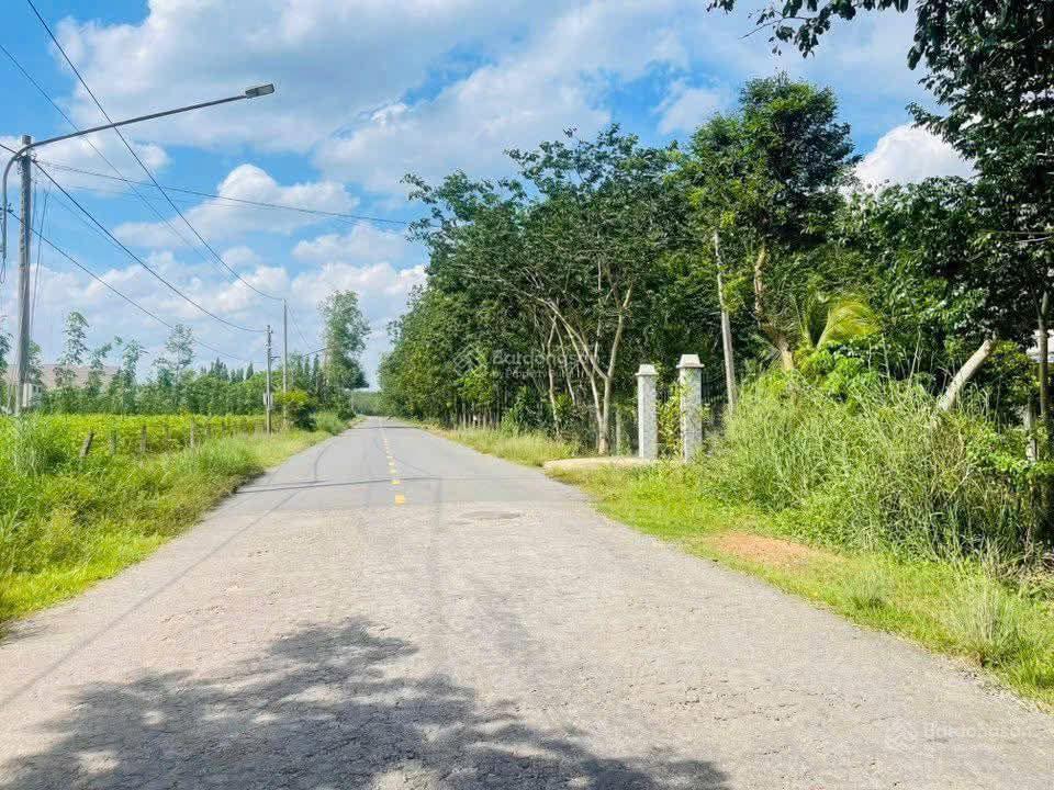 Bán đất 500m2 tại dh702, minh tân, dầu tiếng, tp hcm