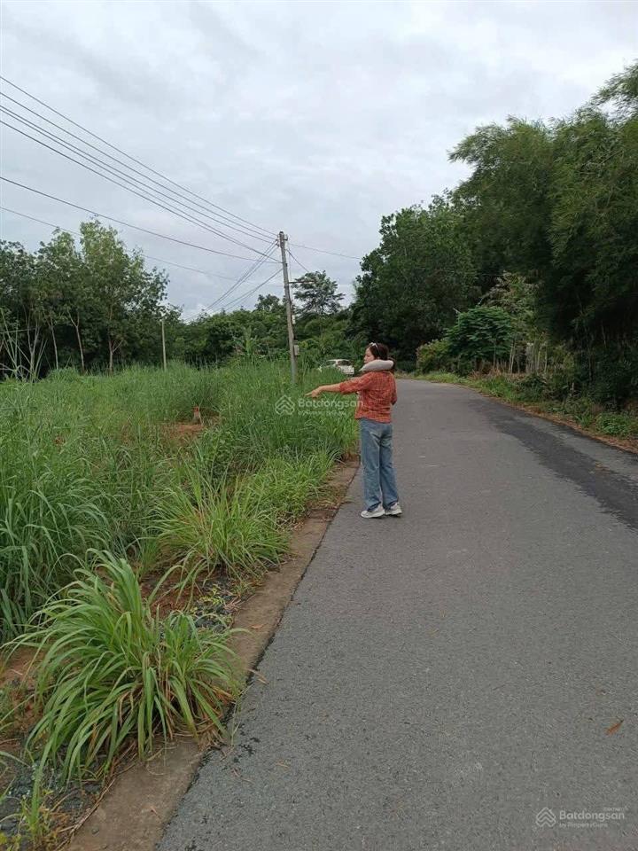 Bán đất tại đường 722, xã định an, dầu tiếng, bình dương, giá thỏa thuận, 300m2