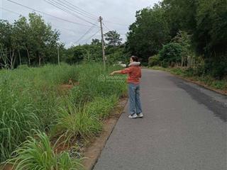 Bán đất tại đường 722, xã định an, dầu tiếng, bình dương, giá thỏa thuận, 300m2