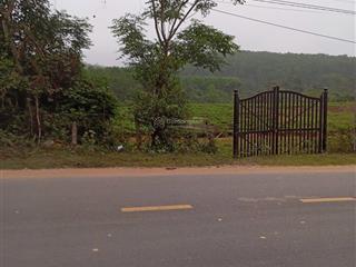 Bán đất tặng nhà mặt tiền quốc lộ 14g, xã ba, huyện đông giang. vị trí đắc địa, tiềm năng