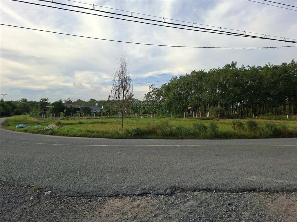 Cần sang gấp lô đất cực đẹp tại hẻm xe tải đường phú thuận, xã phú mỹ hưng, huyện củ chi, tp.hcm