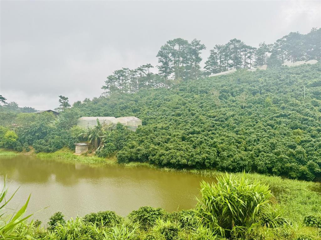 Đất nghỉ dưỡng tại xuân trường, đà lạt