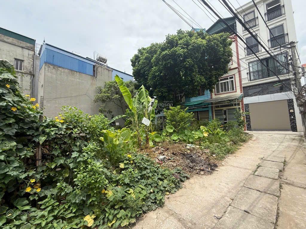 Bán lô đất hiếm đẹp góc 3 mặt tiền ô tô đỗ cửa liên ninh thanh trì dt 109m2 mt 11m giá 11,5 tỷ