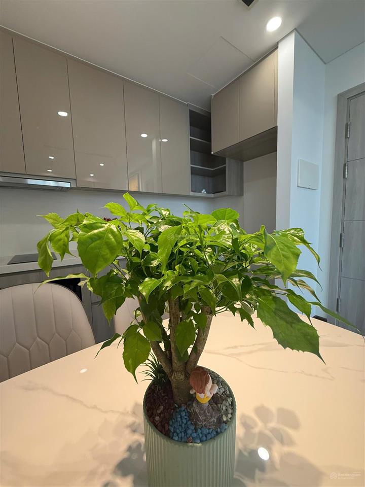 Gia đình tôi cần nhượng lại ch 2n2vs + 1 toà masteri tại tổ hợp vinhomes smart city  0974 046 ***