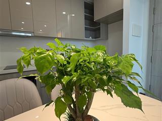 Gia đình tôi cần nhượng lại ch 2n2vs + 1 toà masteri tại dự án vinhomes smart city  0974 046 ***