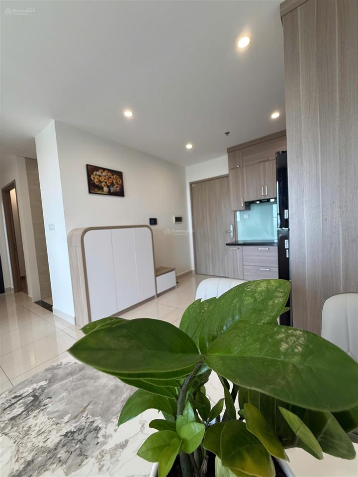 Siêu rẻ chính chủ gửi bán ch 1n + 1  46.5m2, 3.2 tỷ, phân khu (s) dự án vinhomesmart city tây mỗ