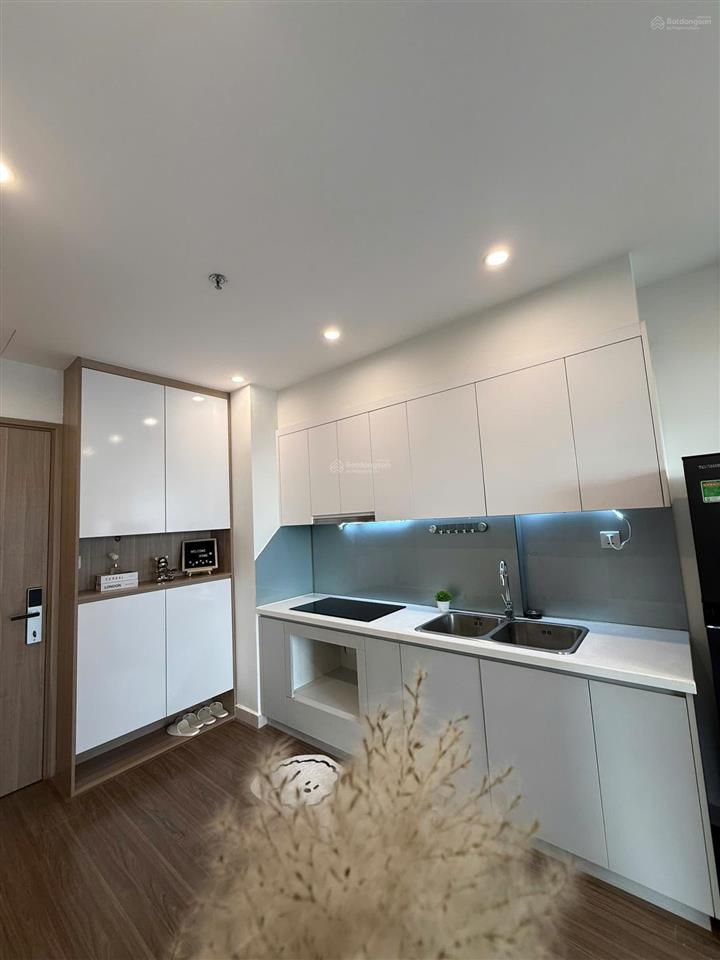 Hot chính chủ bán ch 2n + 1, 63.4m2, 4 tỷ 380, dự án vinhome smart city 0974 046 ***