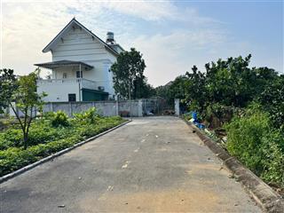 91m2 tân xã giá rẻ không thể bỏ qua