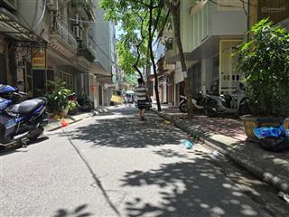 Phân lô nguyễn chánh  vỉa hè  kinh doanh  thông tú mỡ.