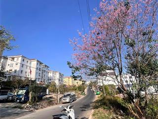 Siêu phẩm 250m2 mặt tiền tô vĩnh diện, trung tâm tiện ích số 1 thành phố đà lạt