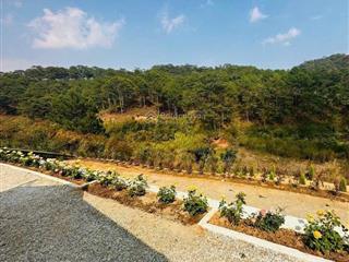 Bán đất đường hoàng hoa thám view rừng thông dt 5000m2 thuận lợi làm resort kinh doanh homestay cf