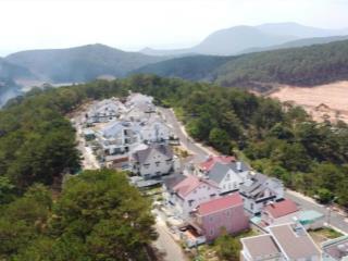 Bán cặp đất song lập dãy d an sơn view rừng thông cực đẹp