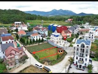 Đất đẹp mai anh đào đà lạt, 400m², mặt tiền 12m, giá tốt 18 tỷ, sổ sẵn