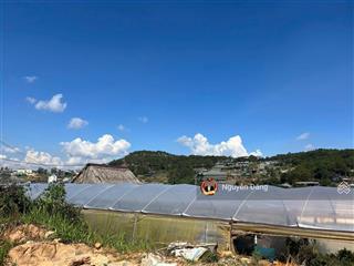 Bán đất mặt tiền đường lớn trịnh hoài đức, phường 11, đà lạt 550m² vuông đẹp