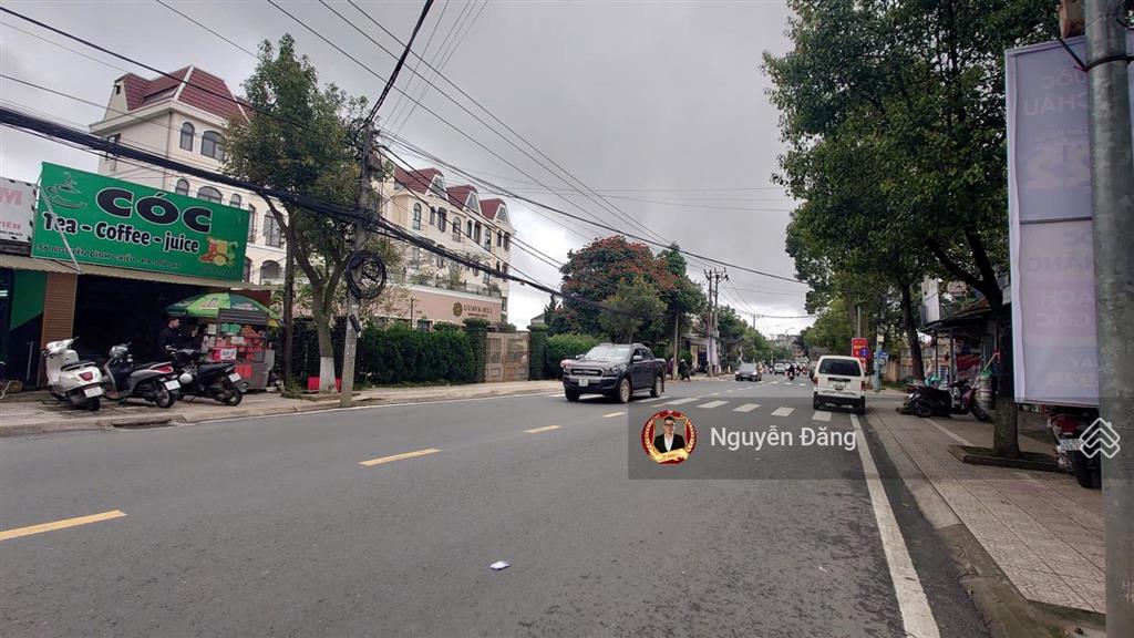 Bán đất vàng mặt tiền nguyễn đình chiểu đà lạt kinh doanh tốt, 356m², sổ hồng chính chủ